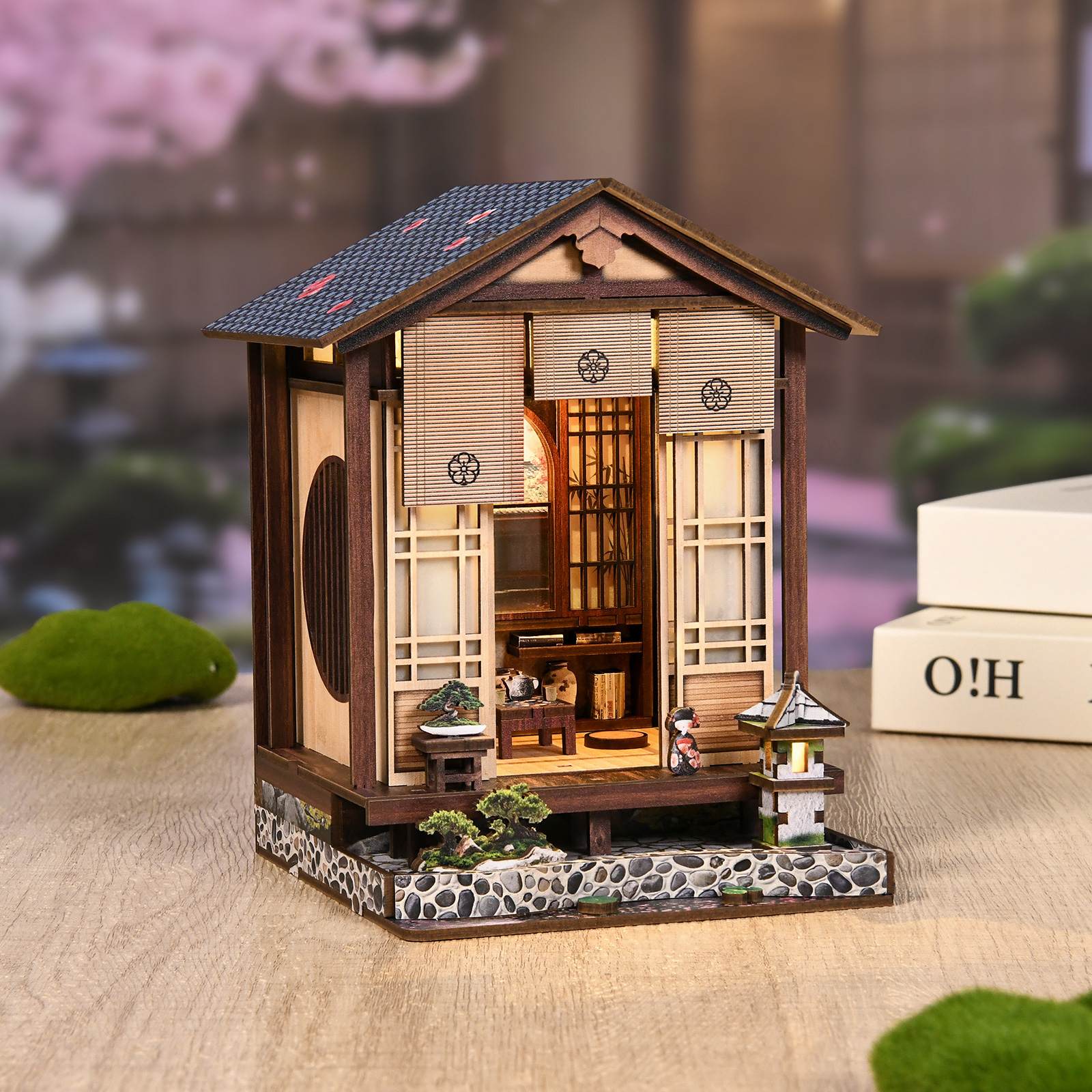 Moss Lamp and Garden DIY Mini House